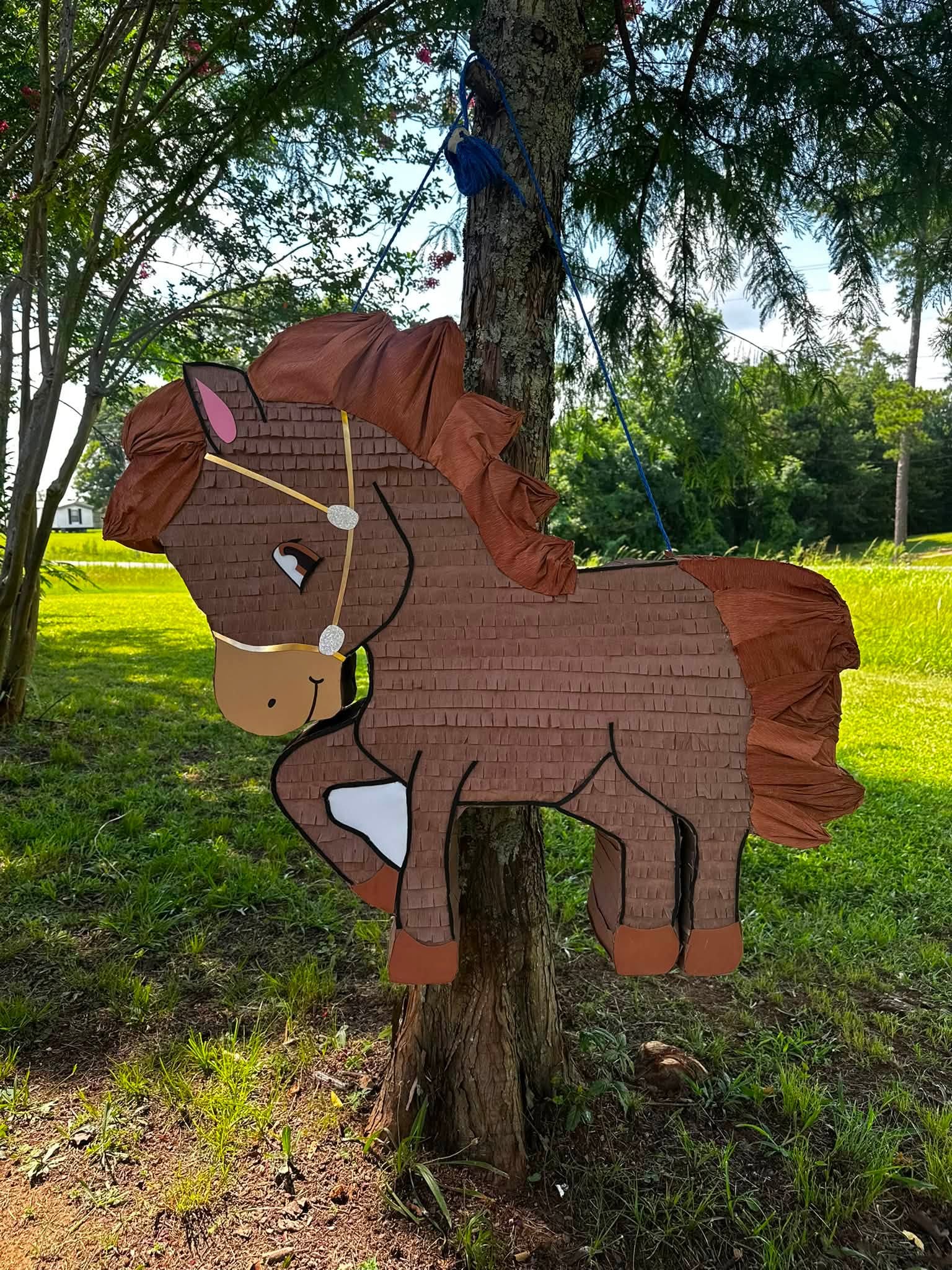 Custom pi&ntilde;ata